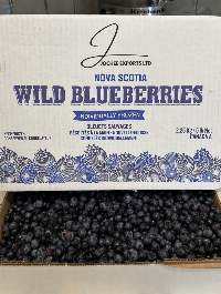Canadian IQF Wild Blueberry