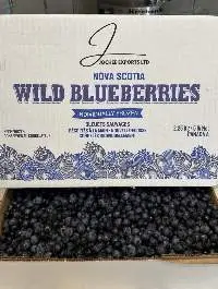 Canadian IQF Wild Blueberry