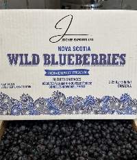 IQF Wild Blueberry
