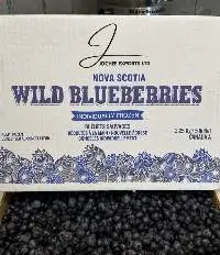 IQF Wild Blueberry