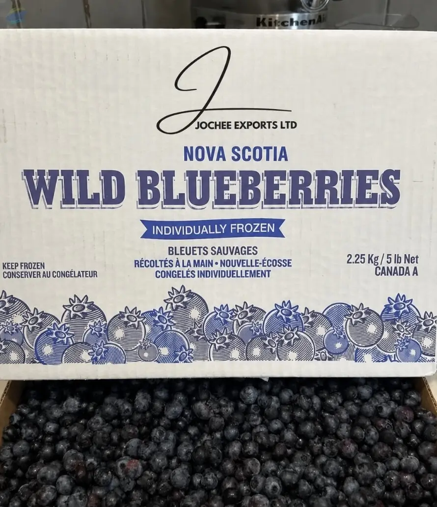 IQF Wild Blueberry