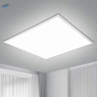 Ceiling Light
