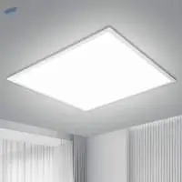 Ceiling Light