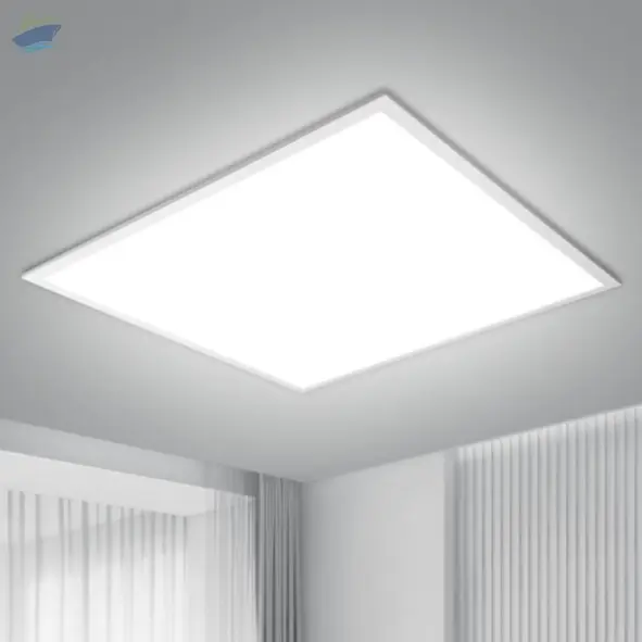 Ceiling Light