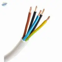 Multicore Flexible