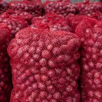 Onion
