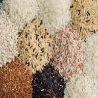 Basmati and Non-Basmati Rice