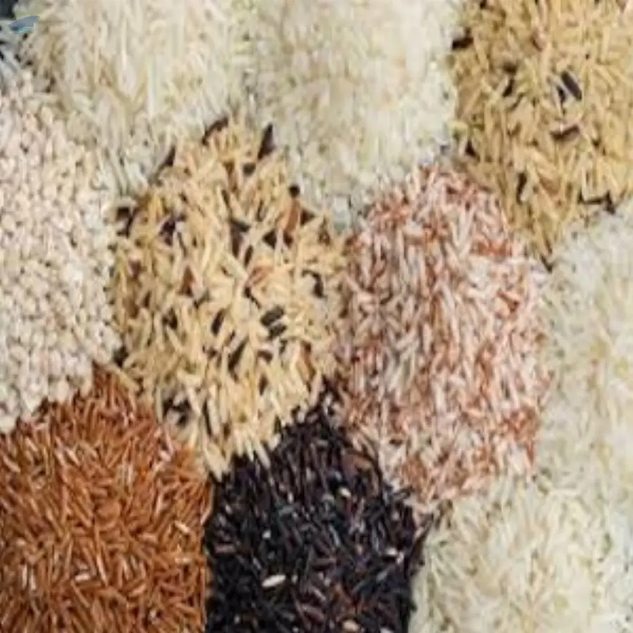 Basmati and Non-Basmati Rice