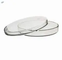 Petri Dishes