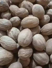 Nutmeg