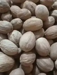 Nutmeg