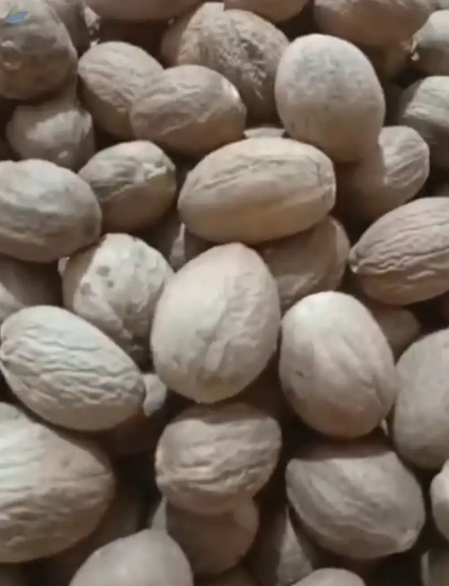 Nutmeg