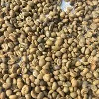 Green Bean Coffee (robusta)