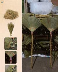 Grass Broom
