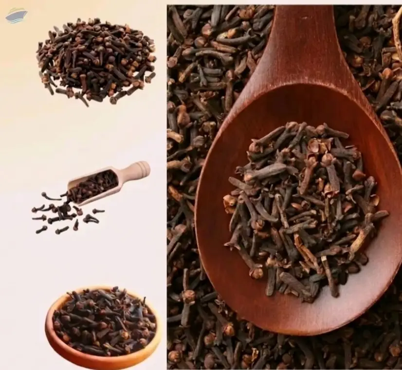Clove