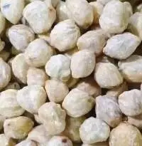 Premium Shelled Candlenut (Grade A)