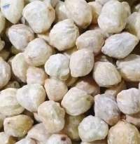 Candlenut