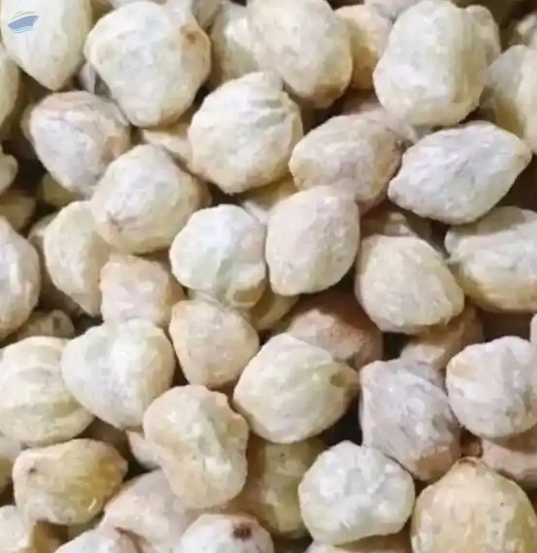Candlenut