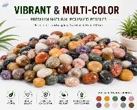 Vibrant Multi-Color Natural Polished Pebbles