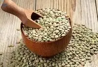 Green Lentils