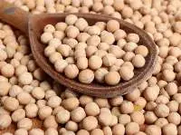 Yellow Peas