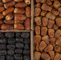 Premium Grade Fresh Dates (Rutab)