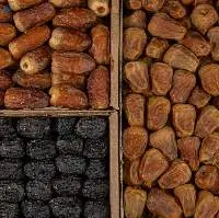 Premium Grade Fresh Dates (Rutab)