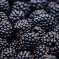 Frozen Blackberries