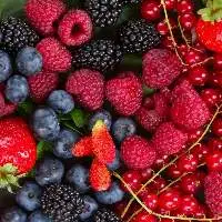 Berries