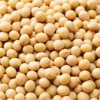 Soybeans