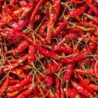 Dry Red Chillies