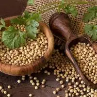 Coriander Seeds