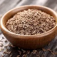 Premium Whole Cumin Seeds Bulk Supply