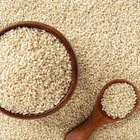 Industrial Grade Sesame Seeds Supply