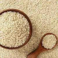 Industrial Grade Sesame Seeds Supply