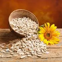 Premium Quality Natural Sunflower Seeds