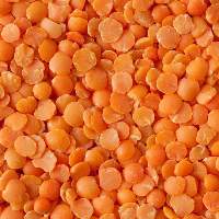 High Quality Split Red Lentils Grocery