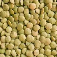 Premium Organic Whole Green Lentils Pack