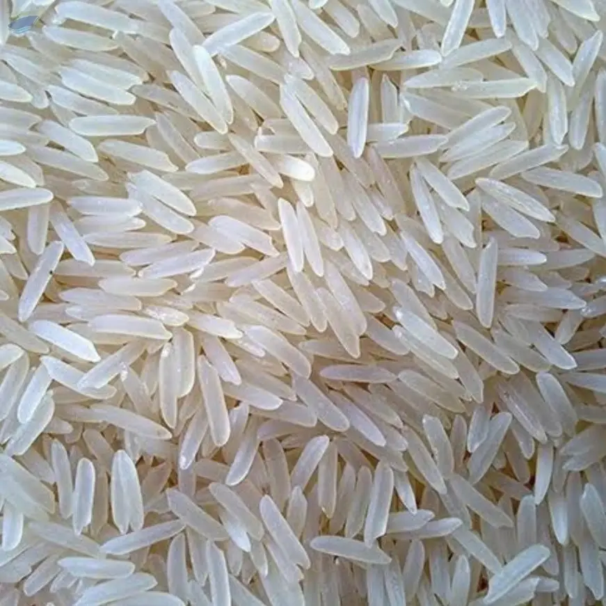 Premium 1509 Basmati Rice Export Quality