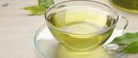 Natural Green Tea Leaves Bulk Supply