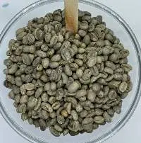 Green Coffee Beans Arabica