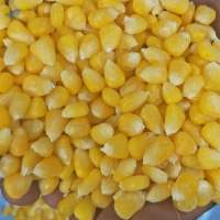High Quality Frozen Sweetcorn Kernels