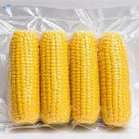 Premium High Quality Sweet Corn Cobs