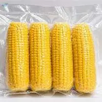 Premium High Quality Sweet Corn Cobs
