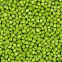 Premium IQF (Frozen) Vegetables Green Peas