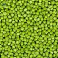 Premium IQF (Frozen) Vegetables Green Peas