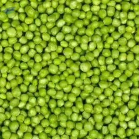 Premium IQF (Frozen) Vegetables Green Peas