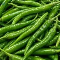 Premium Quality Fresh And Frozen Green Chilli