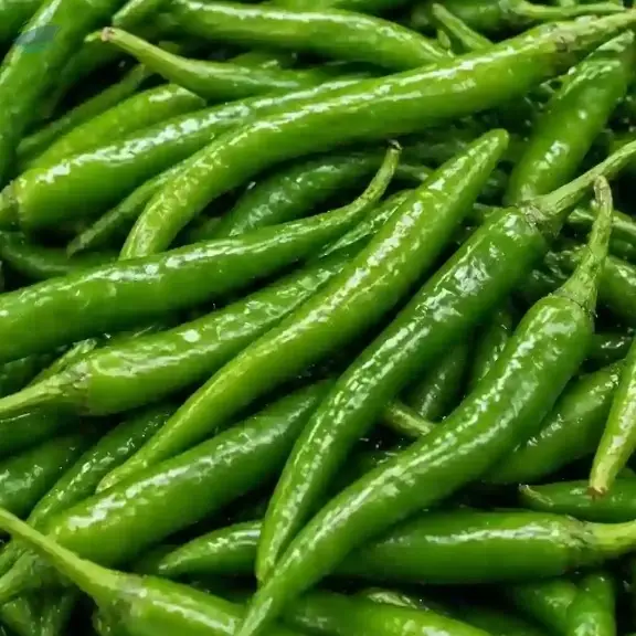 Premium Quality Fresh And Frozen Green Chilli