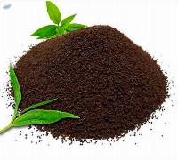 Assam Tea